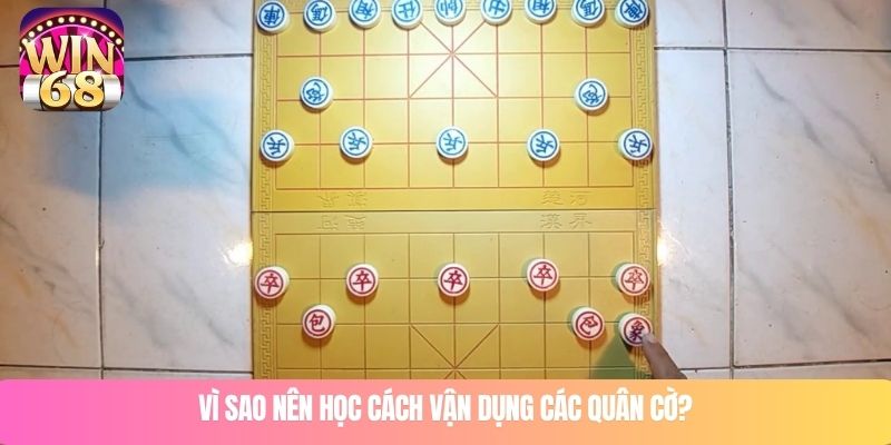 Vì sao nên học cách vận dụng các quân cờ?
