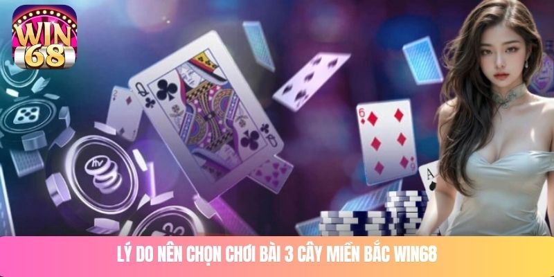 Lý do nên chọn chơi bài 3 cây miền Bắc WIN68