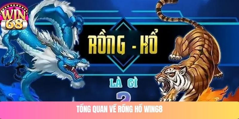 Tổng quan về rồng hổ WIN68